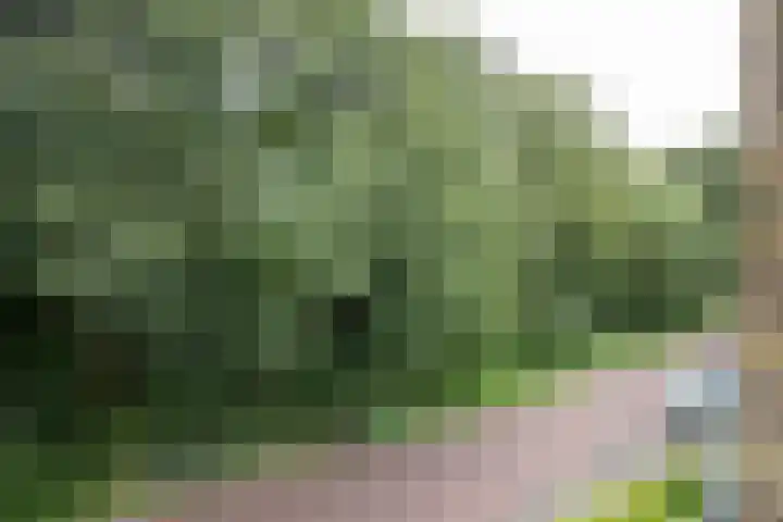 Bos en Vaartlaan 10 Amstelveen thumbnail 37