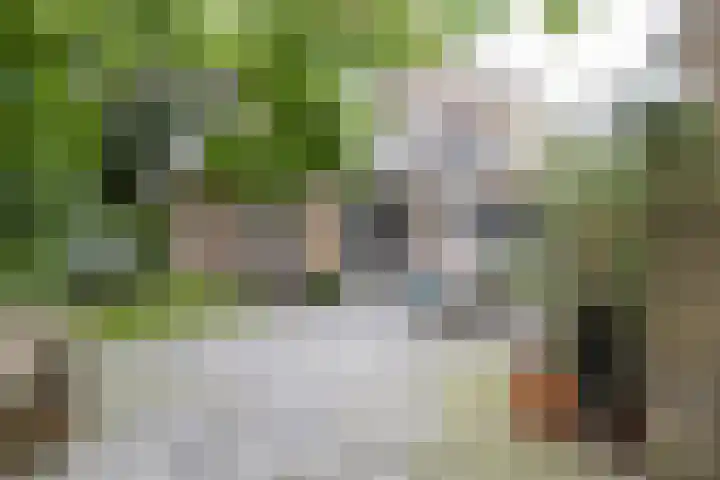 Bos en Vaartlaan 10 Amstelveen thumbnail 8