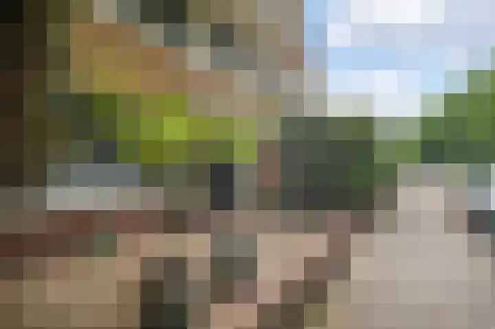 Bos en Vaartlaan 11 Amstelveen thumbnail 6