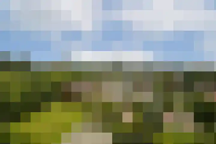 Bos en Vaartlaan 114 Amstelveen thumbnail 13