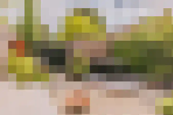 Bos en Vaartlaan 22 Amstelveen thumbnail 18