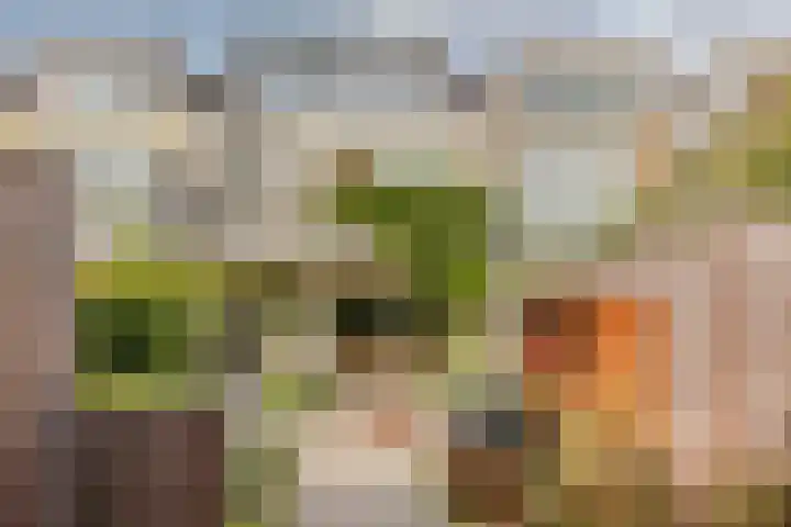 Bos en Vaartlaan 22 Amstelveen thumbnail 4