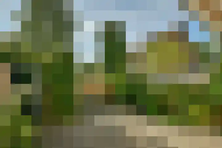 Bos en Vaartlaan 30 Amstelveen thumbnail 30