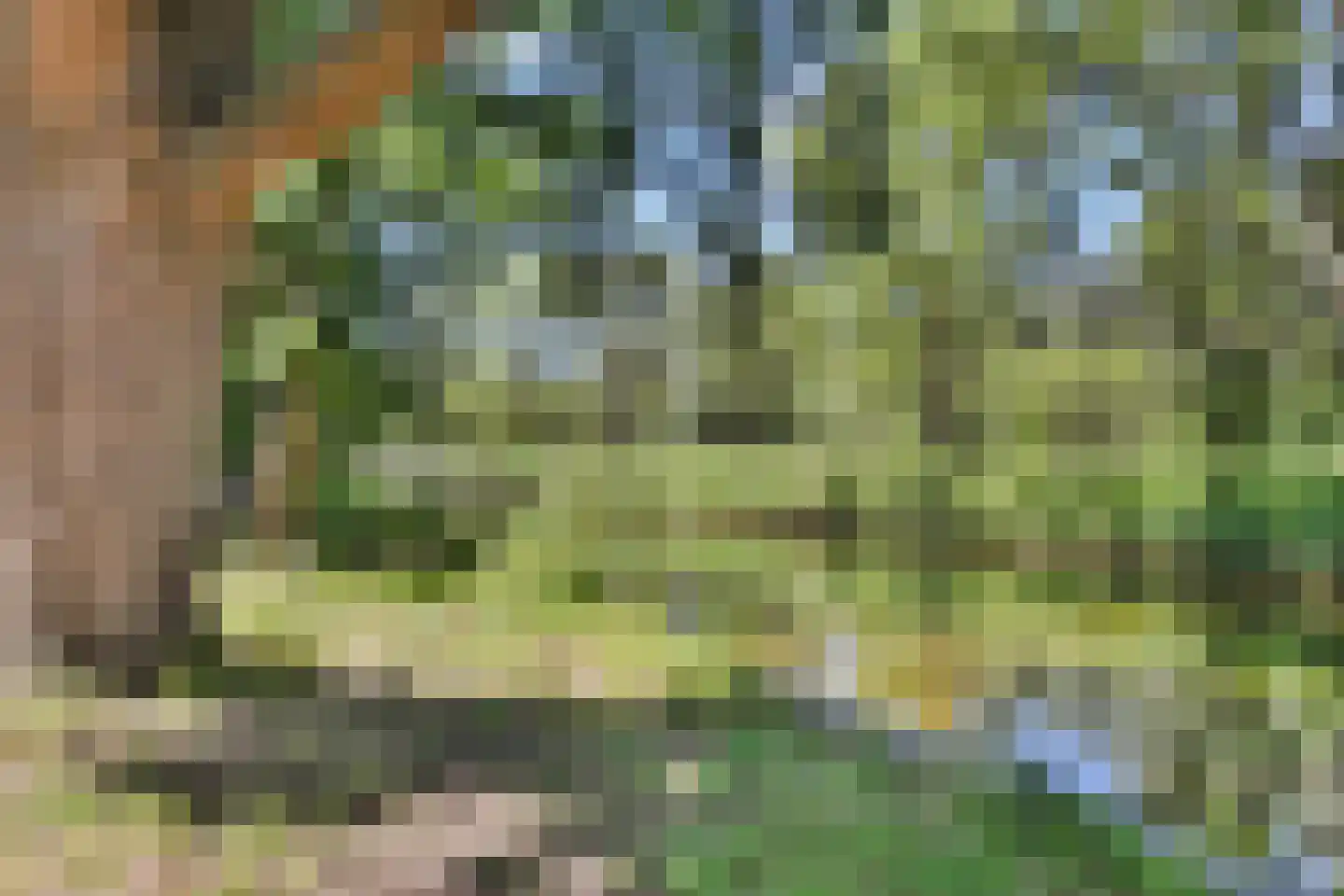 Bos en Vaartlaan 45 Amstelveen thumbnail 31