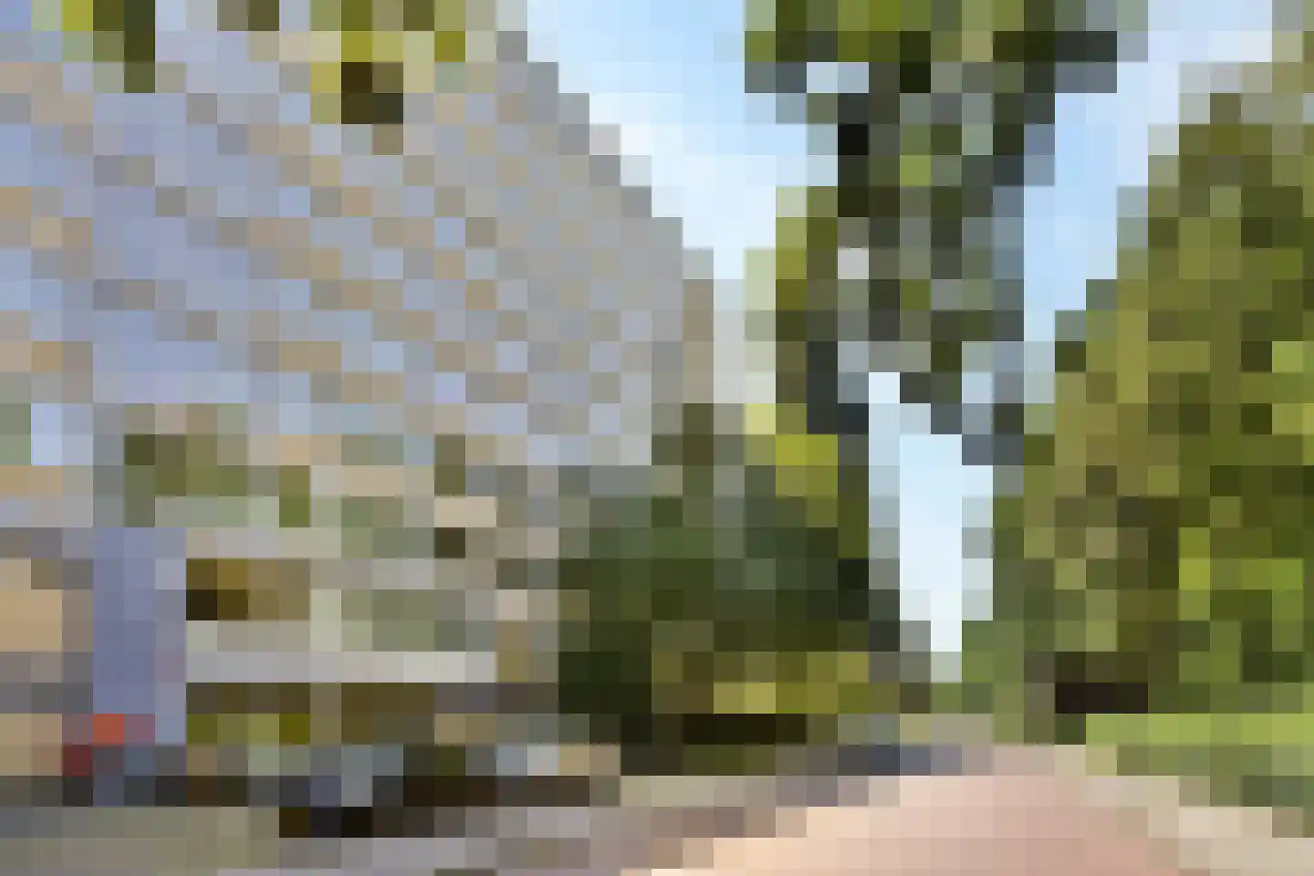 Bos en Vaartlaan 45 Amstelveen thumbnail 35