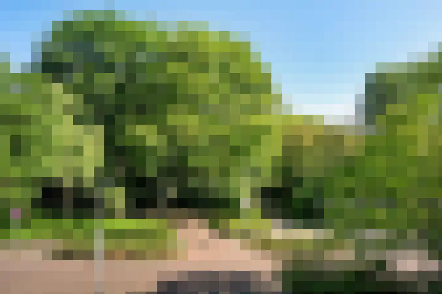 Bos en Vaartlaan 51 Amstelveen thumbnail 22