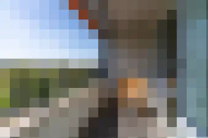 Bos en Vaartlaan 61 Amstelveen thumbnail 5