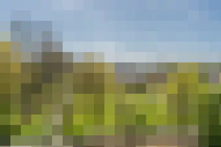 Bos en Vaartlaan 61 Amstelveen thumbnail 6