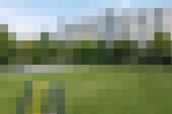 Bos en Vaartlaan 66 Amstelveen thumbnail 23