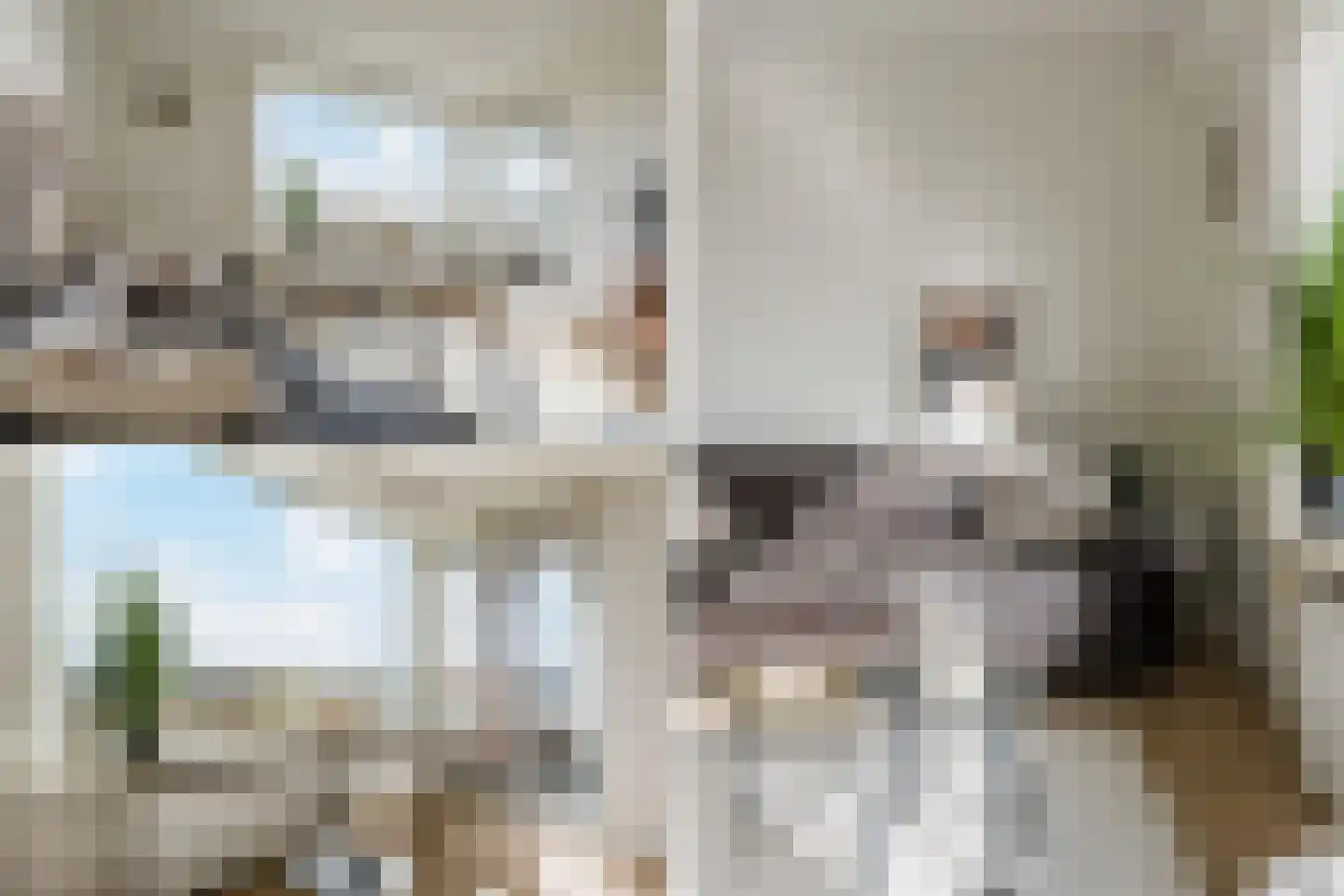 Bos en Vaartlaan 68 Amstelveen thumbnail 8