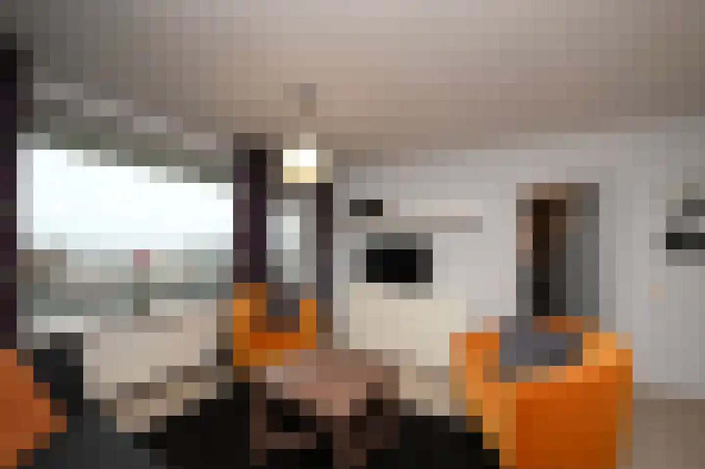 Bos en Vaartlaan 72 Amstelveen thumbnail 7