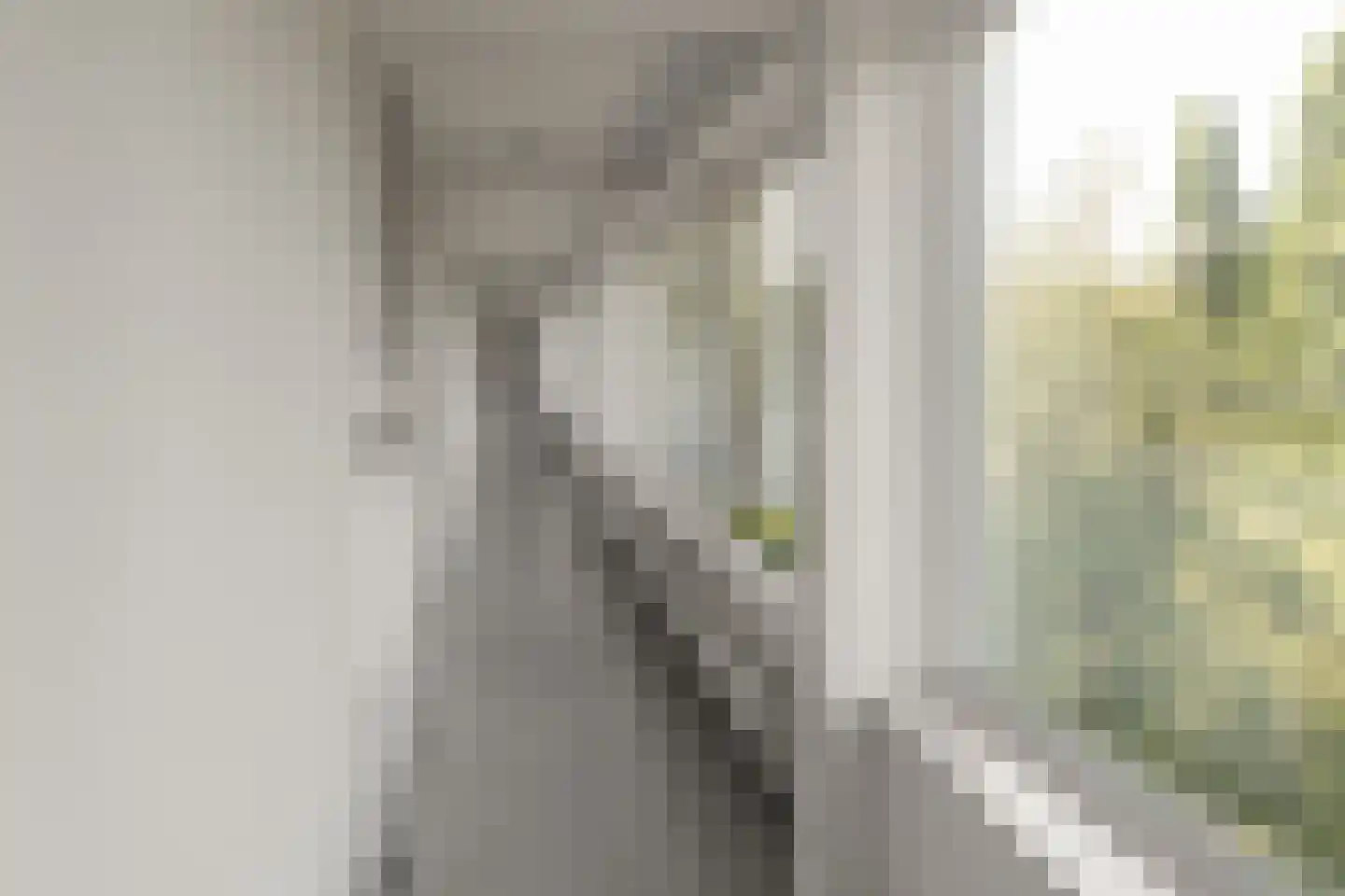 Bos en Vaartlaan 77 Amstelveen thumbnail 22