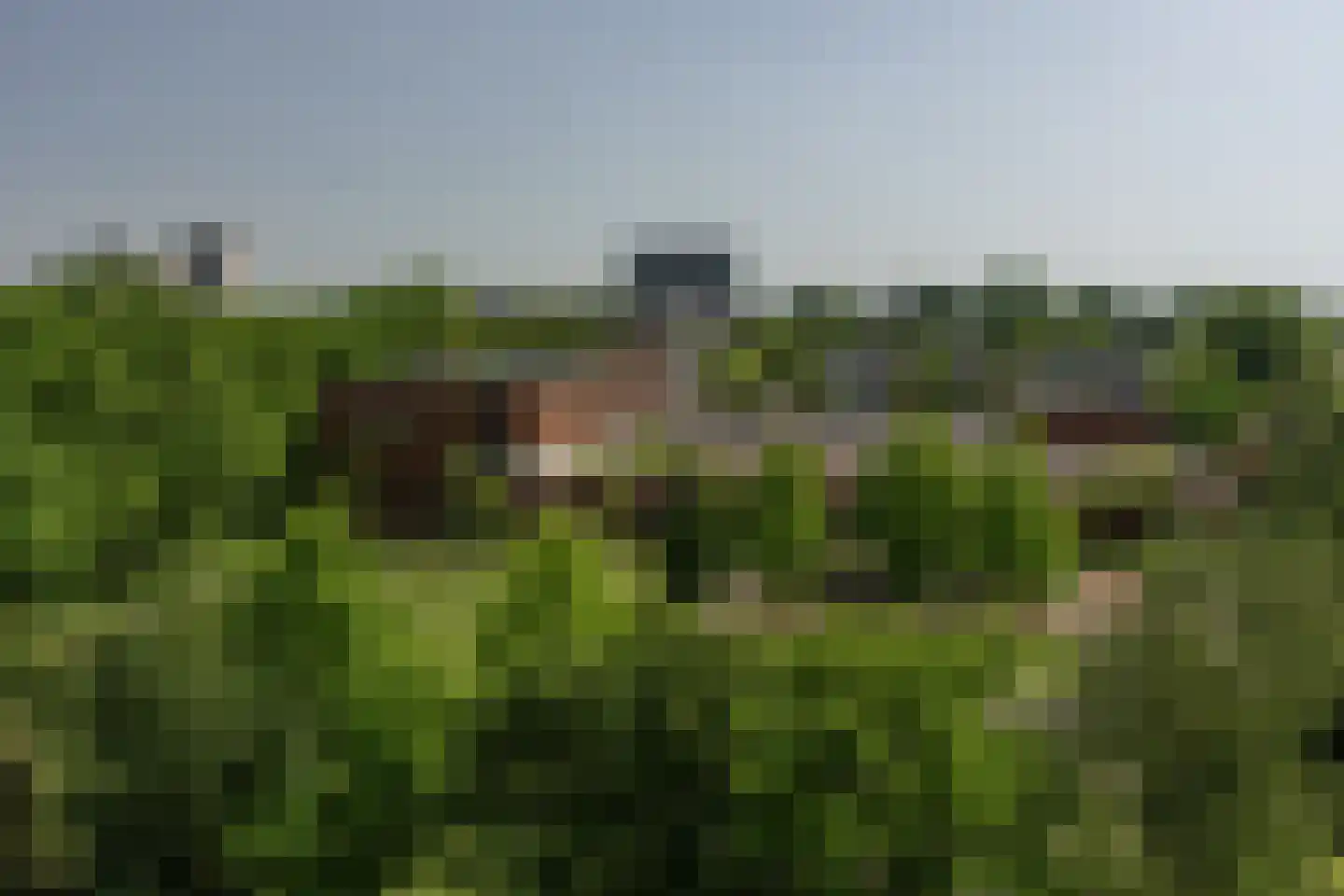 Bos en Vaartlaan 77 Amstelveen thumbnail 9