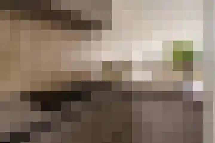 Bos en Vaartlaan 88 Amstelveen thumbnail 11