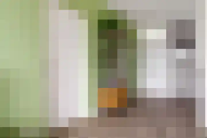 Bos en Vaartlaan 88 Amstelveen thumbnail 16