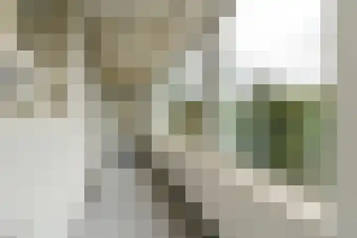 Bos en Vaartlaan 88 Amstelveen thumbnail 22