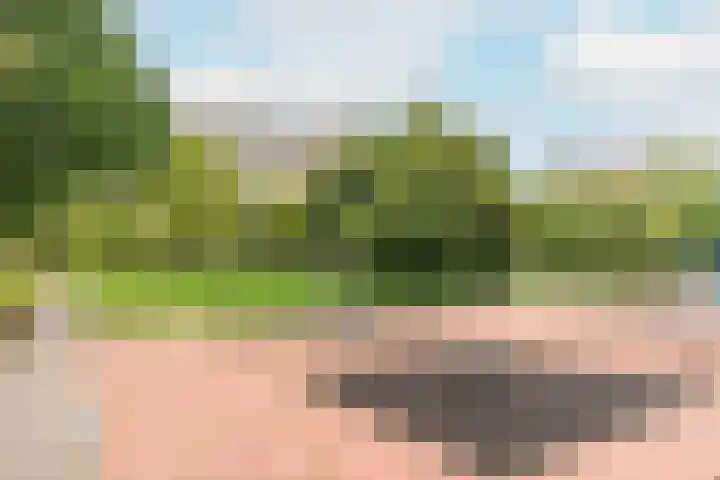 Bos en Vaartlaan 88 Amstelveen thumbnail 30