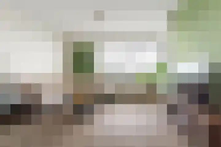 Bos en Vaartlaan 88 Amstelveen thumbnail 4