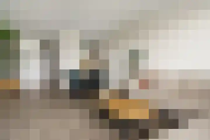 Bos en Vaartlaan 88 Amstelveen thumbnail 6