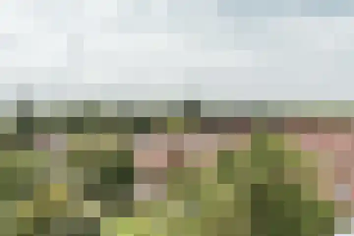 Bos en Vaartlaan 97 Amstelveen thumbnail 10