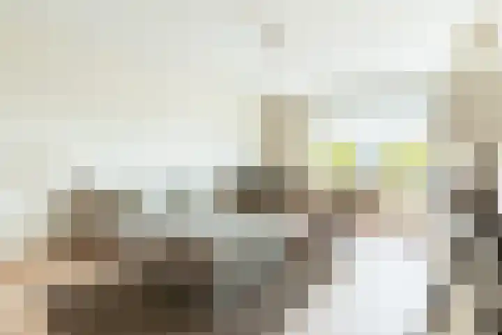 Bos en Vaartlaan 97 Amstelveen thumbnail 5