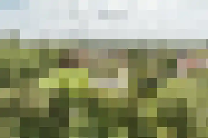 Bos en Vaartlaan 97 Amstelveen thumbnail 9