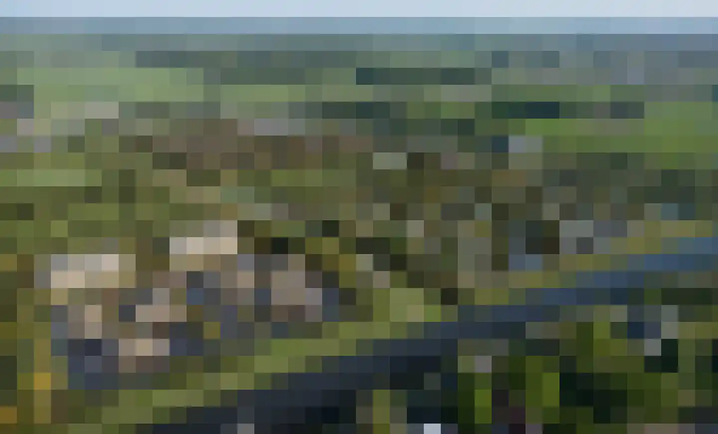 Bos van Veur 2 Leidschendam thumbnail 12