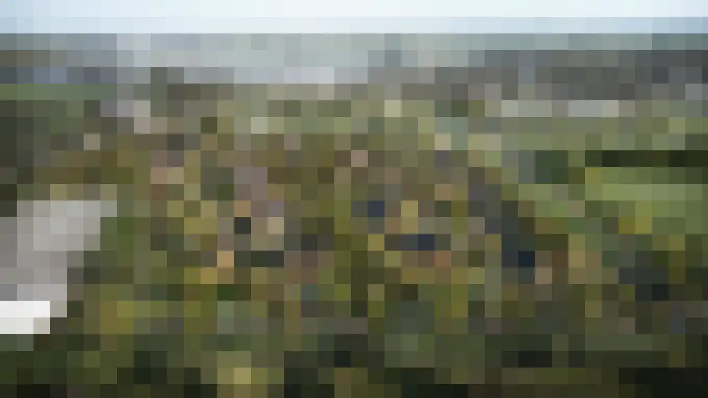 Bos van Veur 2 Leidschendam thumbnail 13