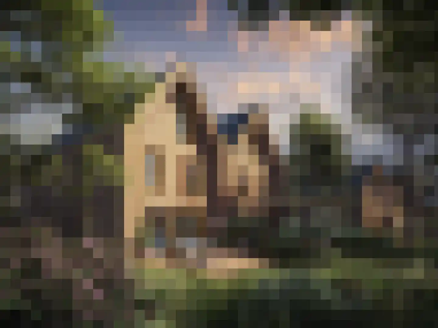 Bos van Veur 2 Leidschendam thumbnail 4