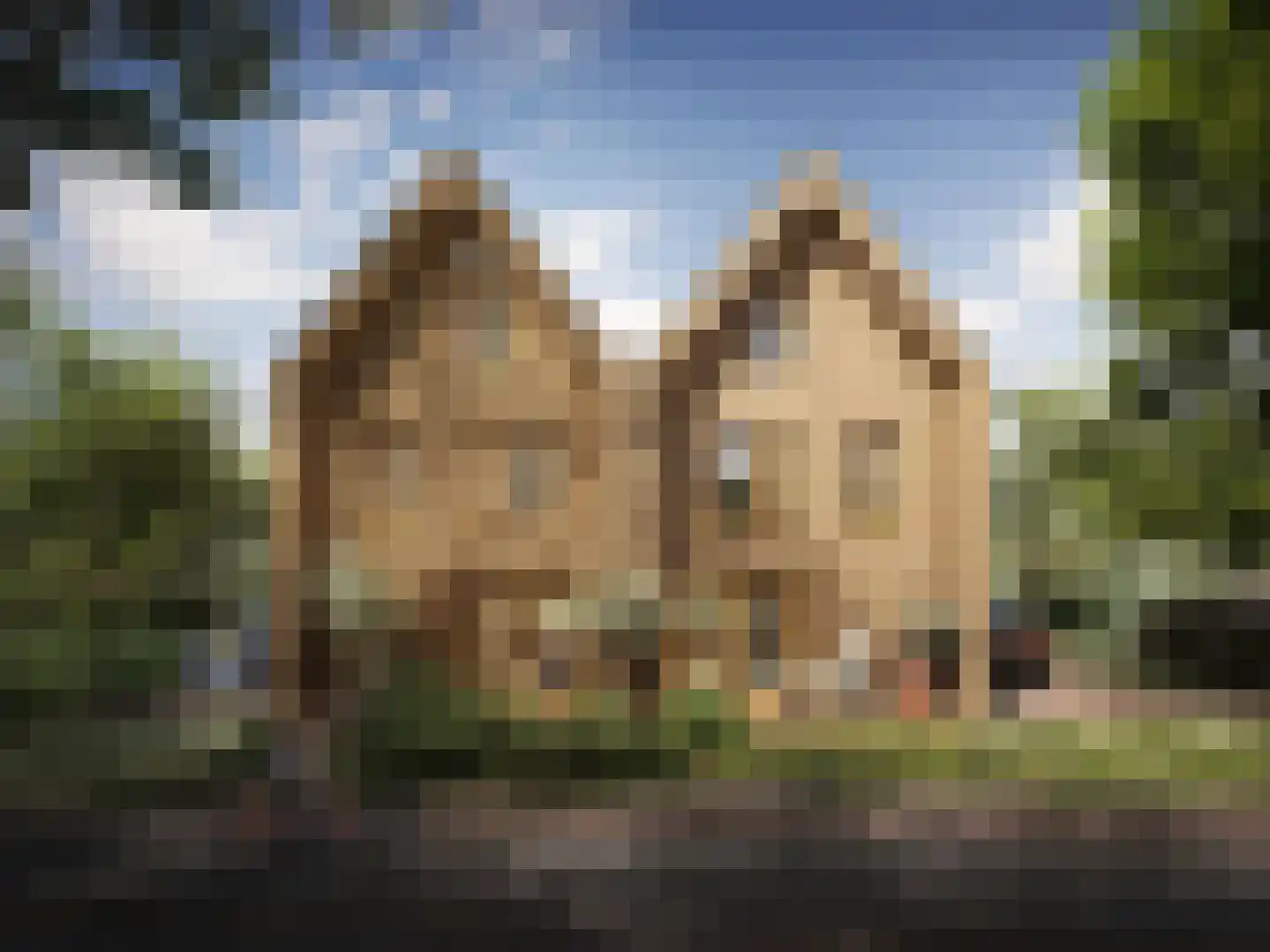 Bos van Veur 2 Leidschendam thumbnail 6