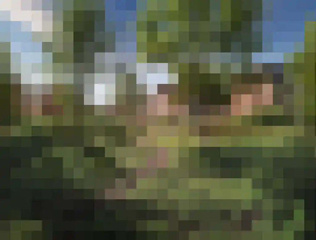 Bos van Veur 2 Leidschendam thumbnail 8