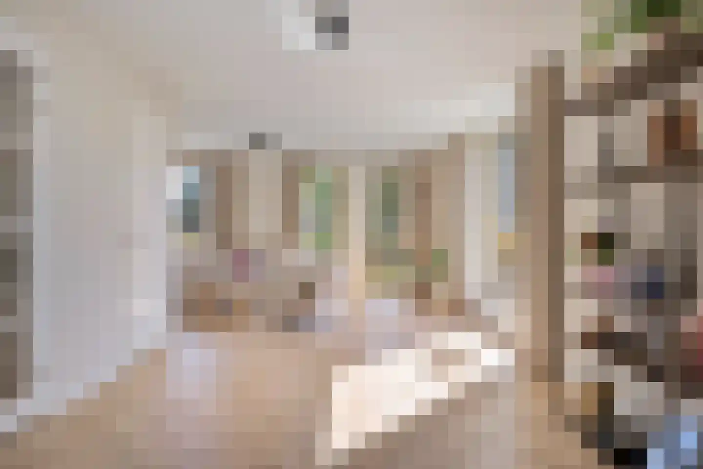 Bosackerweg 2 Veldhoven thumbnail 9