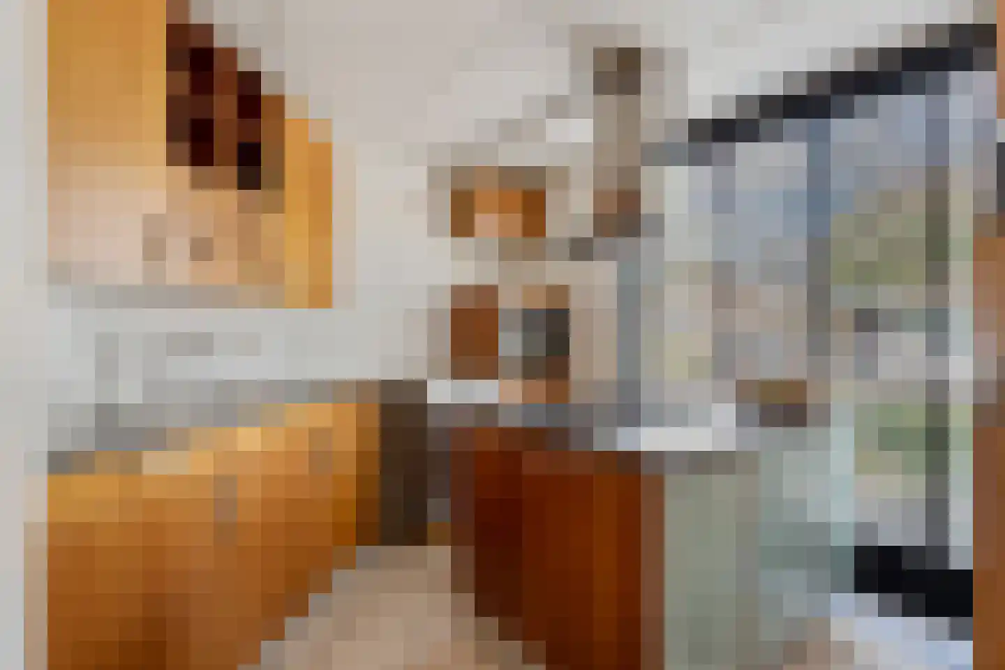 Bosakker 10 Galder thumbnail 11