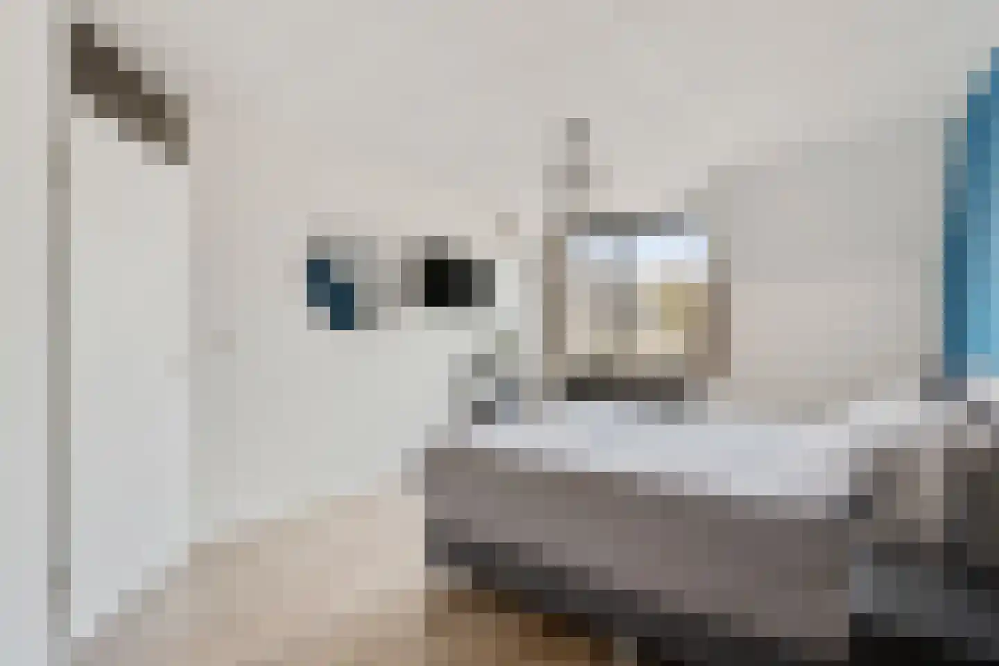 Bosakker 10 Galder thumbnail 15