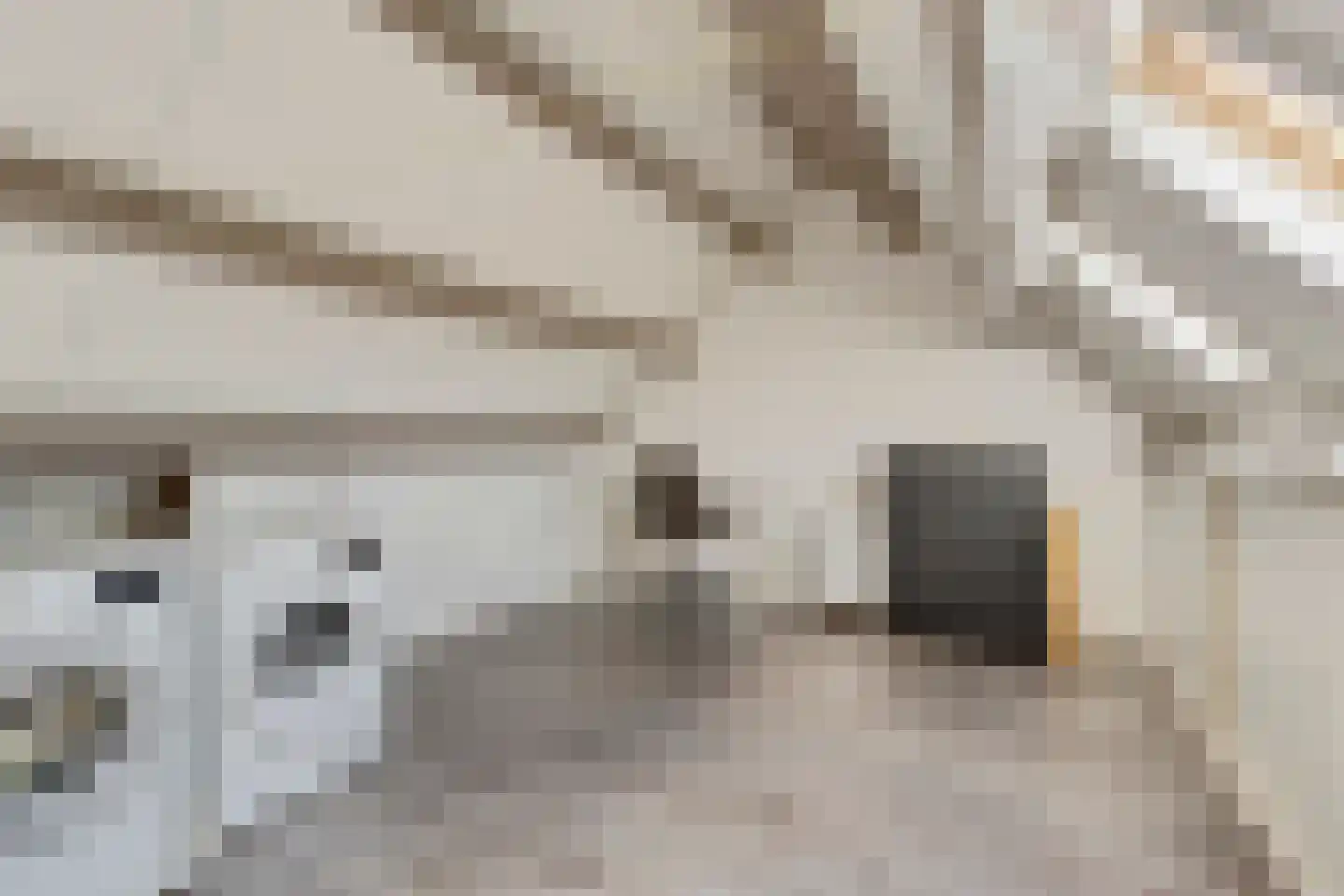 Bosakker 10 Galder thumbnail 22