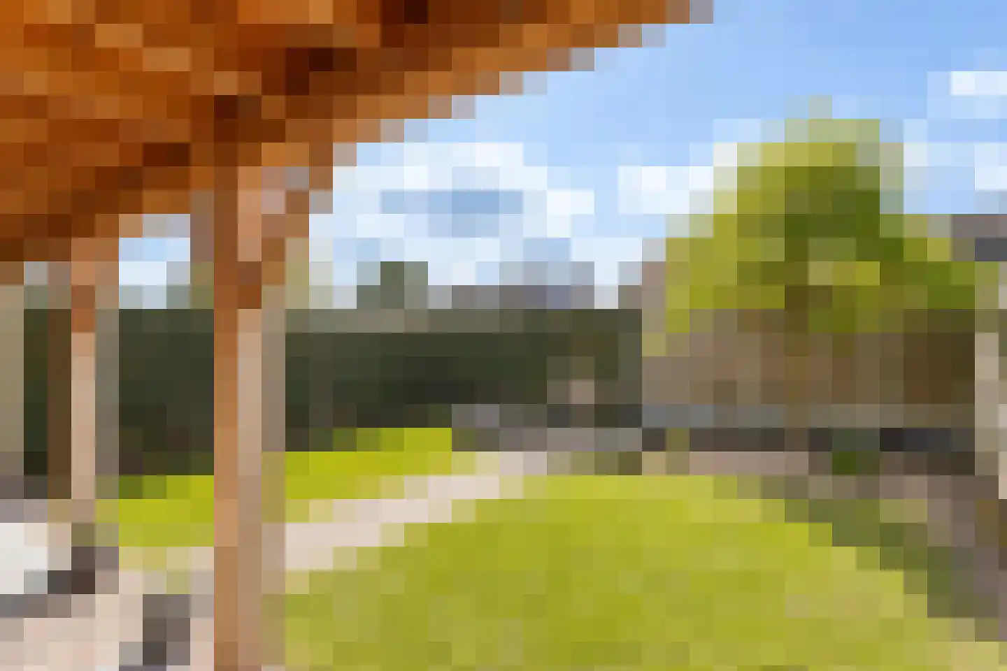 Bosakker 10 Galder thumbnail 25