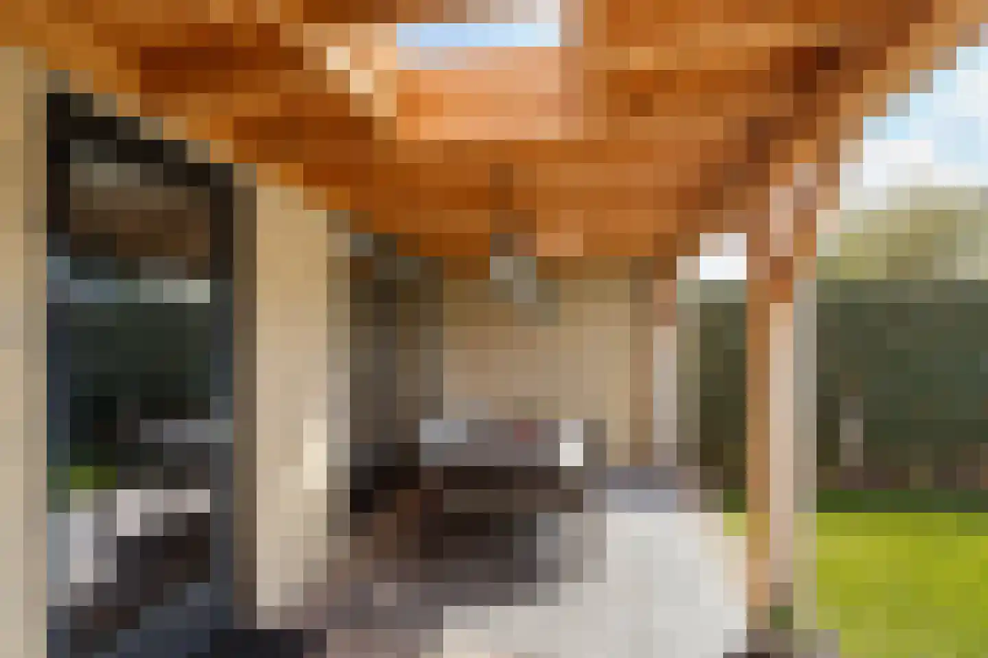 Bosakker 10 Galder thumbnail 26