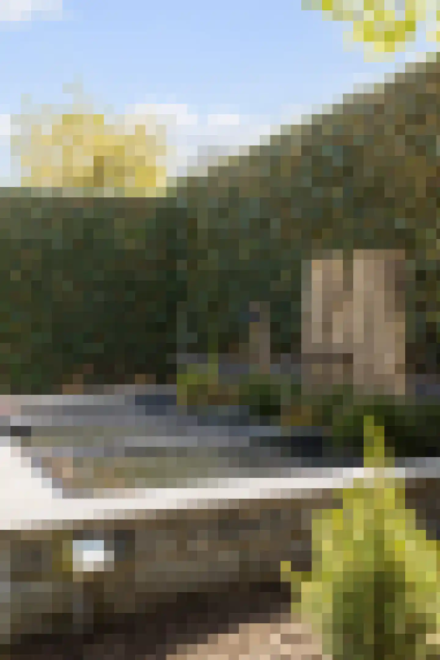 Bosakker 10 Galder thumbnail 28