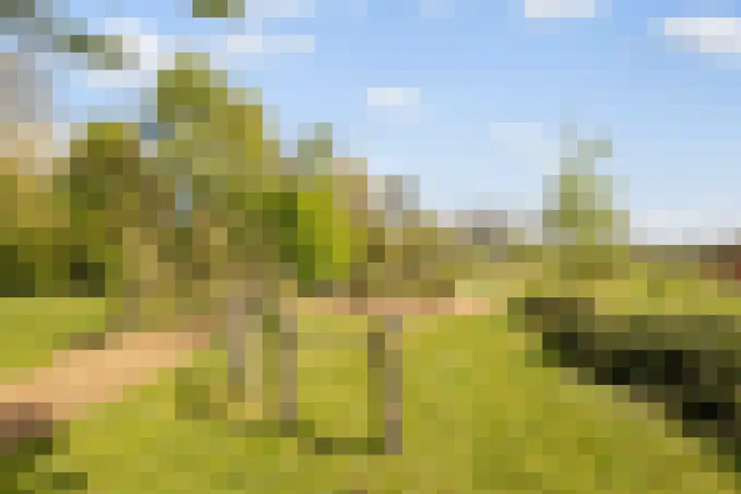 Bosakker 10 Galder thumbnail 5