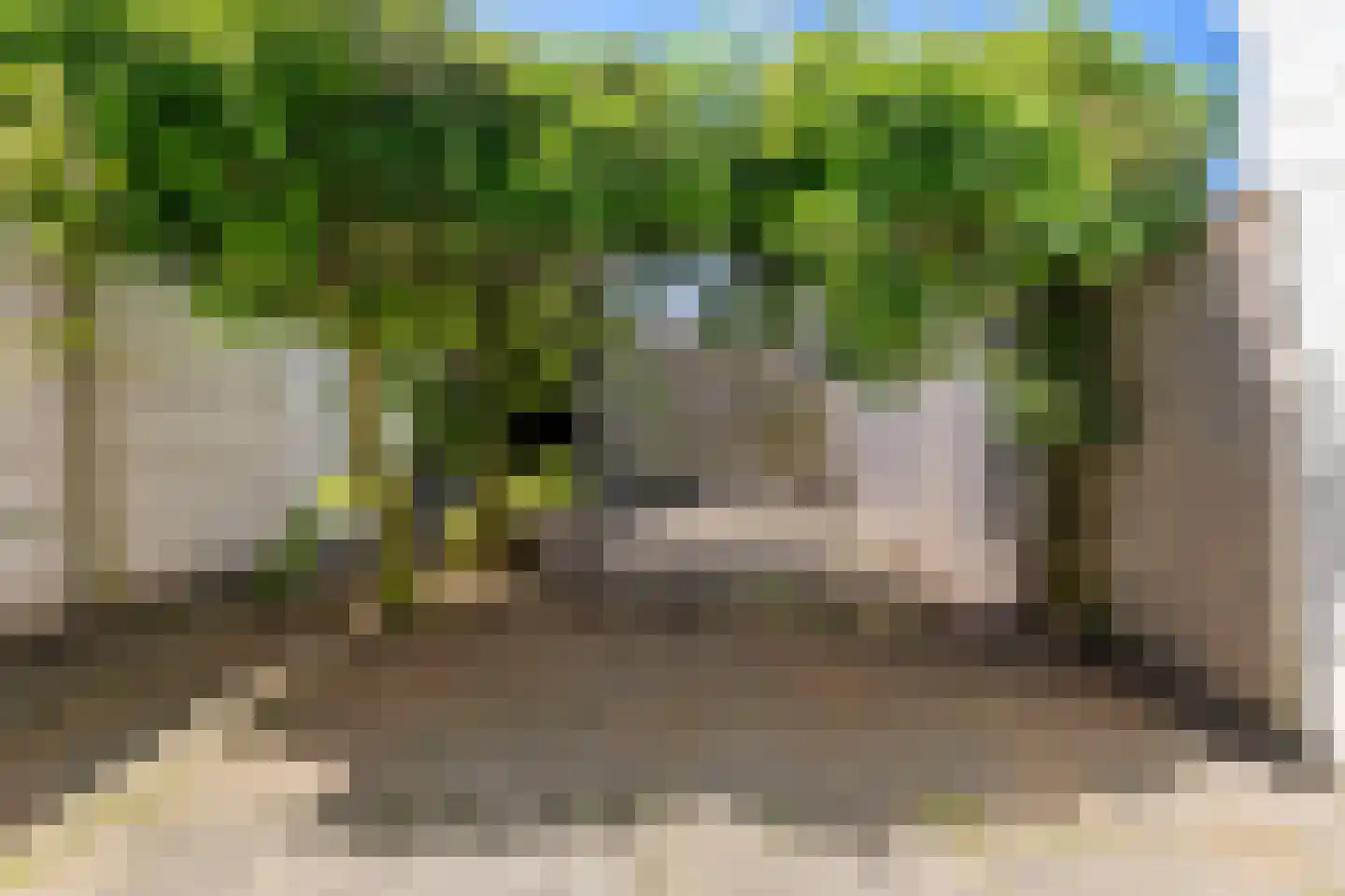 Bosakker 26 Galder thumbnail 20