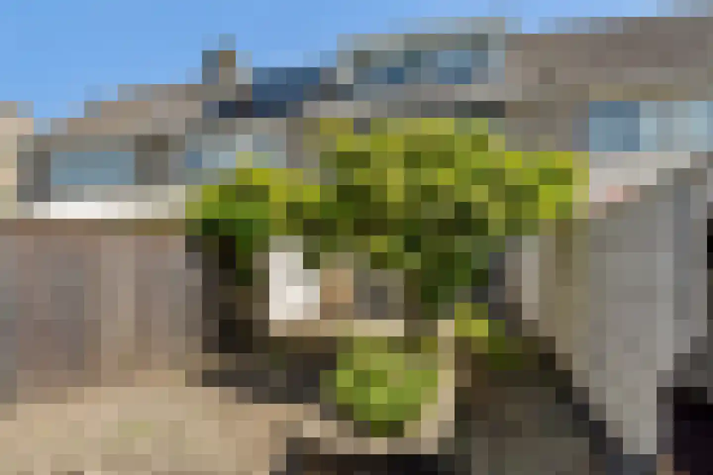 Bosakker 26 Galder thumbnail 21