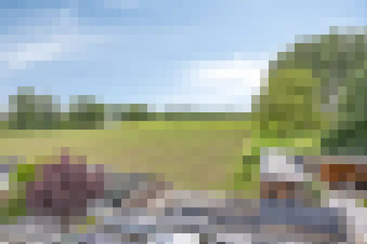 Bosakker 27 Wagenberg thumbnail 37