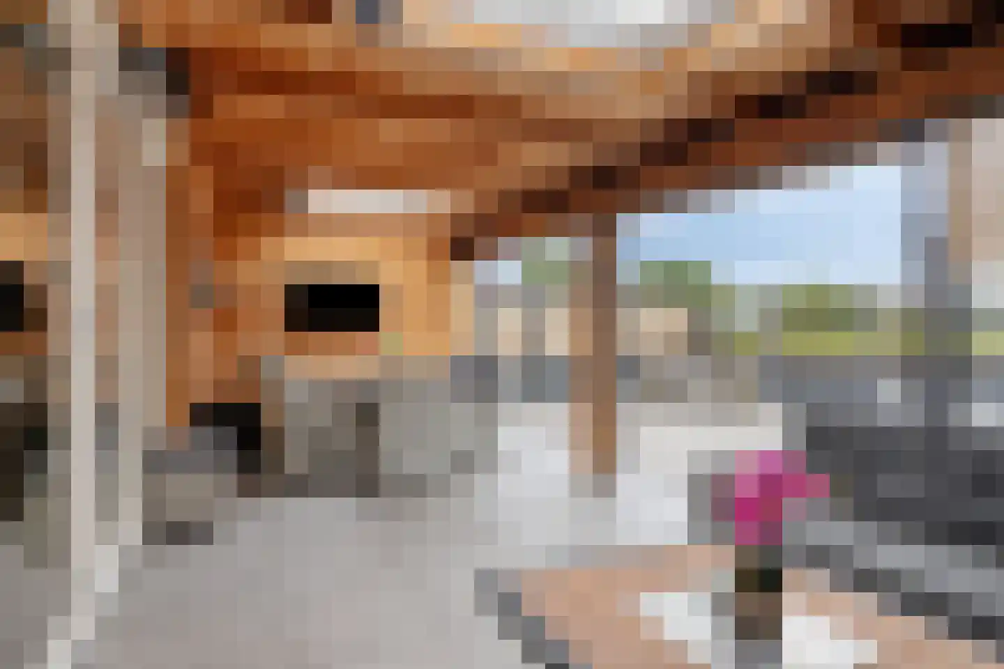 Bosakker 27 Wagenberg thumbnail 41
