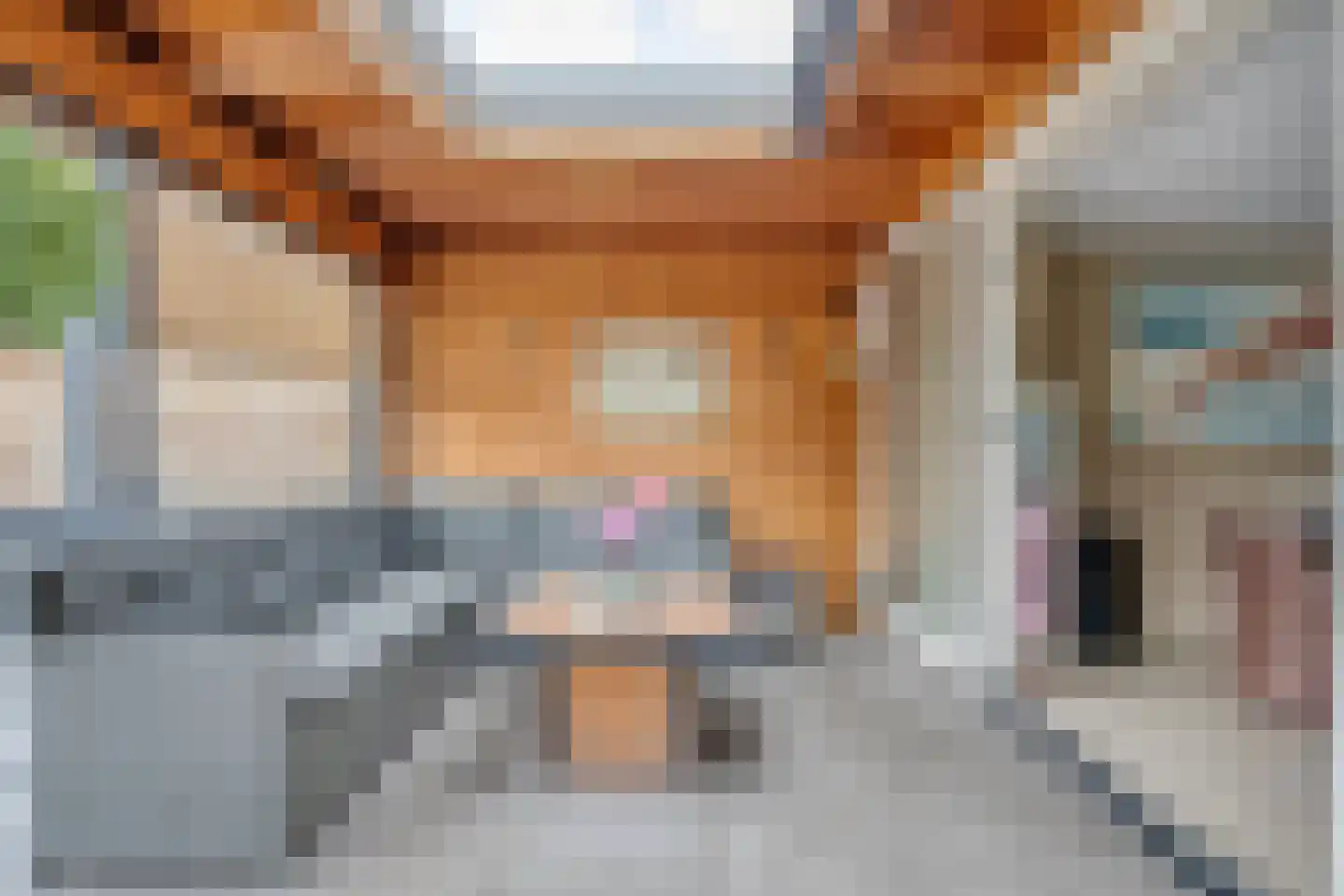 Bosakker 27 Wagenberg thumbnail 42