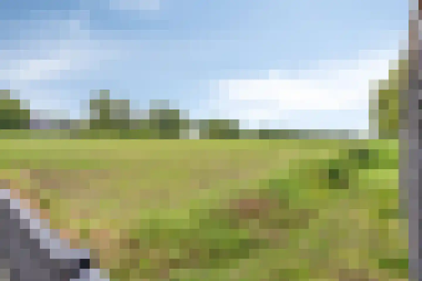 Bosakker 27 Wagenberg thumbnail 48
