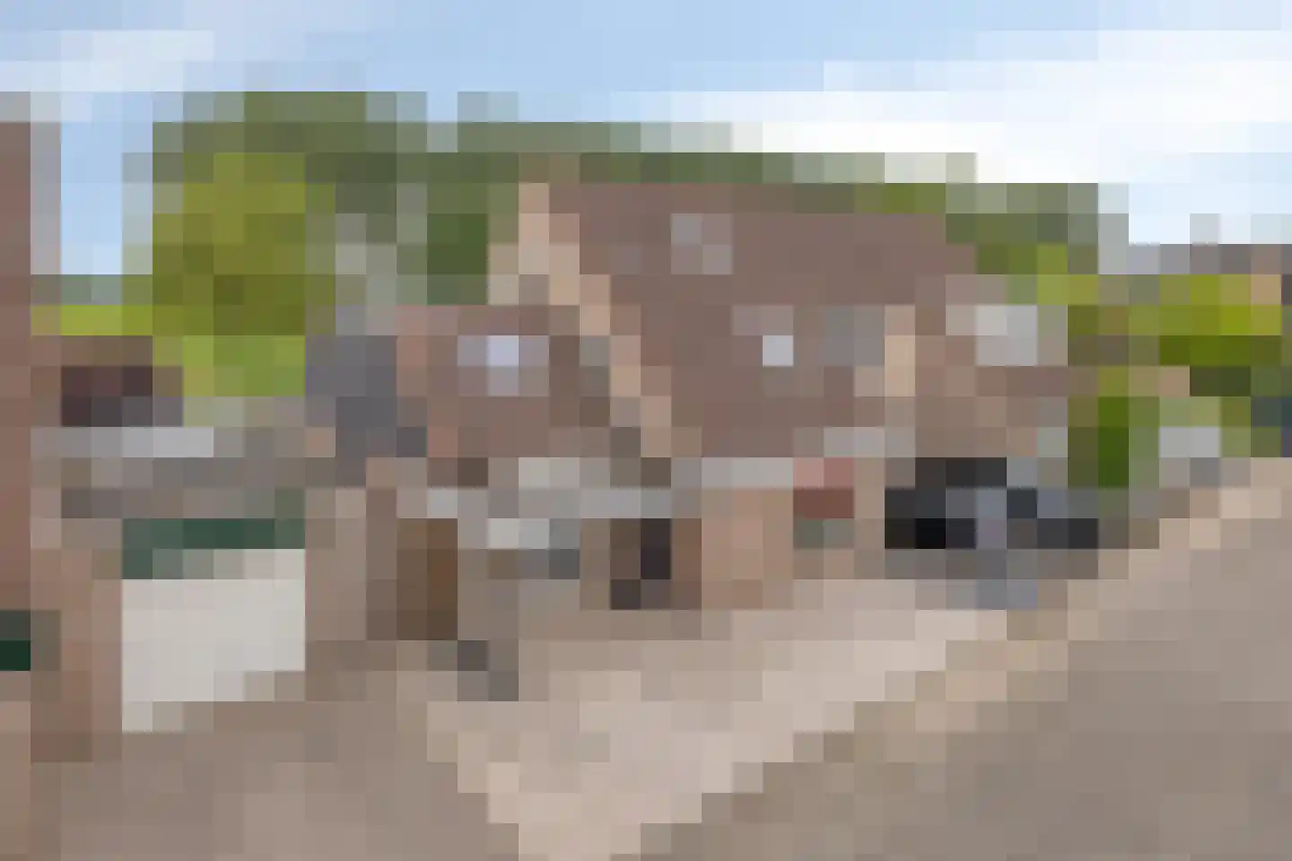 Bosakker 27 Wagenberg thumbnail 55
