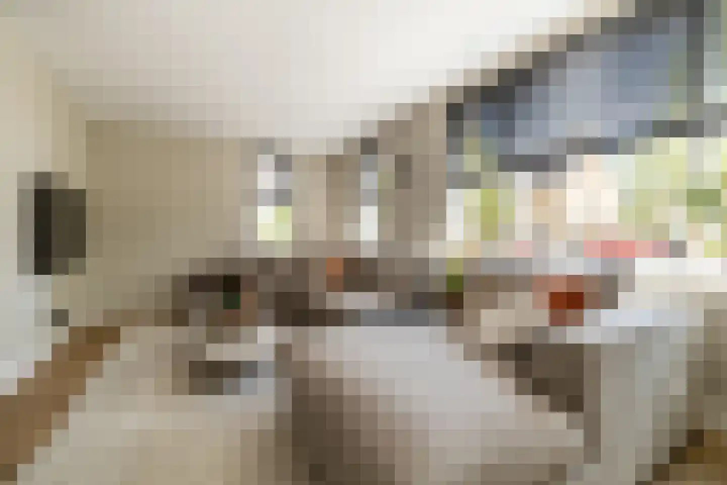Bosakker 3 Galder thumbnail 11