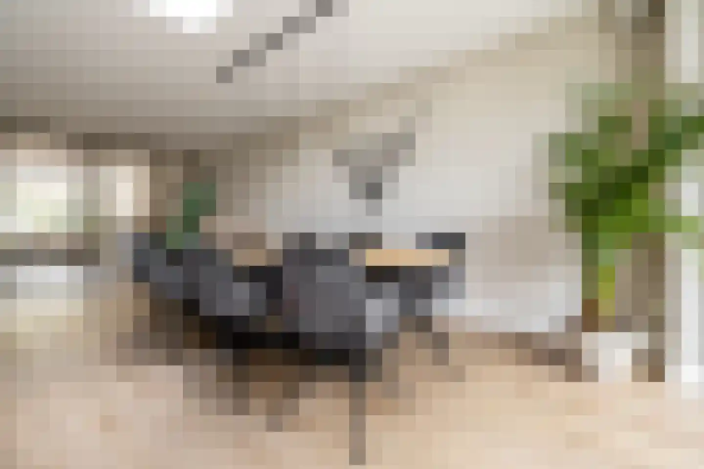Bosakker 3 Galder thumbnail 16
