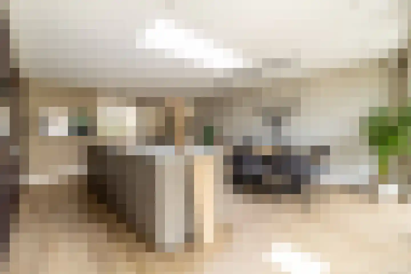 Bosakker 3 Galder thumbnail 21