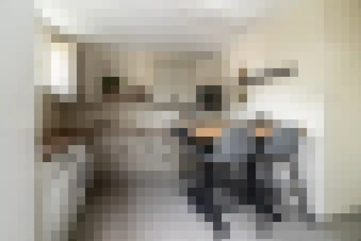 Bosakker 3 Galder thumbnail 23
